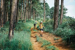 BIB: 
                            <button type="button" onclick="openModal(25659542)" class="btn btn-primary btn-sm float-right btn-popup" data-toggle="modal" data-target=".modal-high-quality">
                        <i class="fas fa-shopping-cart"></i> Add to Cart
                    </button>
                                            <button type="button" onclick="isThisMe(25659542, true)" class="btn btn-success btn-sm float-right btn-popup btn-isme hidden" data-toggle="tooltip" data-placement="bottom" title="นี่คือรูปของคุณใช่ไหม คลิกที่นี่เพื่อเอาเข้าอัลบั้ม">
                        <i class="fas fa-plus"></i> Add to album
                    </button>
                    <button type="button" onclick="isThisMe(25659542, false)" class="btn btn-warning btn-sm float-right btn-popup btn-isnotme hidden">
                        <i class="fas fa-ban"></i> Remove from album
                    </button>